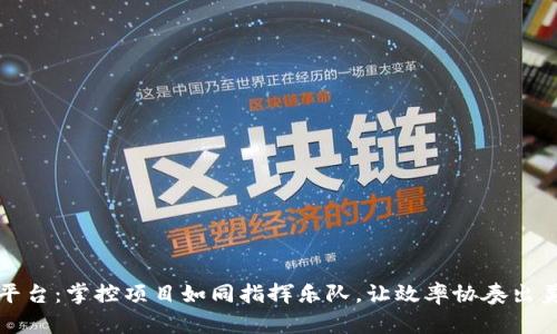 TP管理平台：掌控项目如同指挥乐队，让效率协奏出美妙乐章
