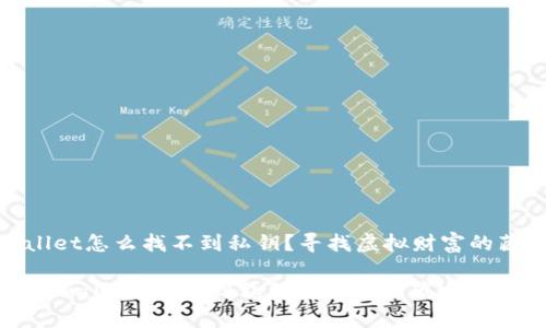 tpwallet怎么找不到私钥？寻找虚拟财富的藏宝图

探秘tpwallet：找不到私钥就像丢失藏宝图的海盗