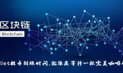 TPWallet提币到账时间，就像
