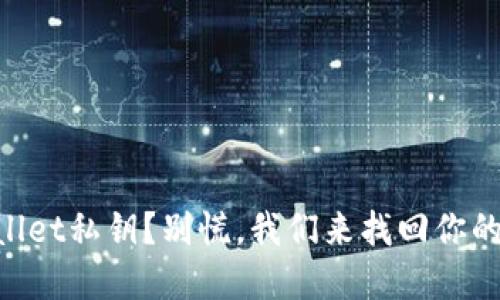 丢失TPWallet私钥？别慌，我们来找回你的“金钥匙”！