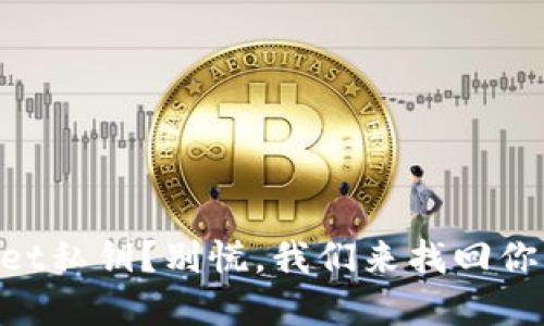 丢失TPWallet私钥？别慌，我们来找回你的“金钥匙”！