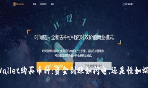 TPWallet购买币种：资金到账如闪电，还是慢如蜗牛？