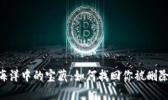 迷失在数字海洋中的宝藏