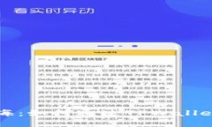 探索数字货币的无尽星海