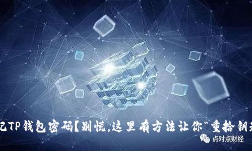 忘记TP钱包密码？别慌，这里有方法让你“重拾钥匙”！