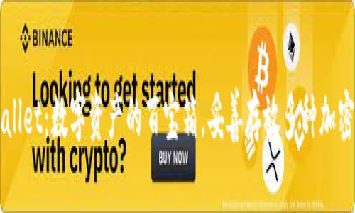 TPWallet：数字资产的百宝箱，妥善存放多种加密货币
