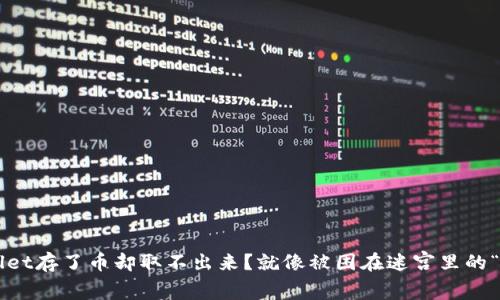 在TPWallet存了币却取不出来？就像被困在迷宫里的“小白兔”！