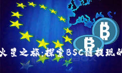 “从TP钱包到火星之旅：探索BSC链提现的矿工费之谜”