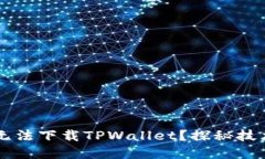 ### 苹果用户为何无法下载