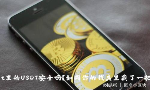 TPWallet里的USDT安全吗？如同你的钱夹里藏了一把安全锁！