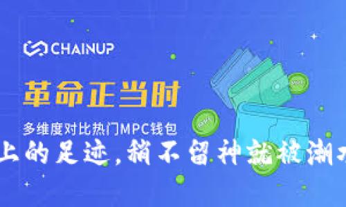 TPWallet转账记录如同沙滩上的足迹，稍不留神就被潮水抹去，如何让它们重现于世？