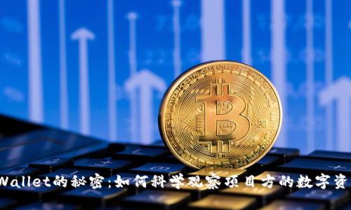 窥探TPWallet的秘密：如何科学观察项目方的数字资产动向？