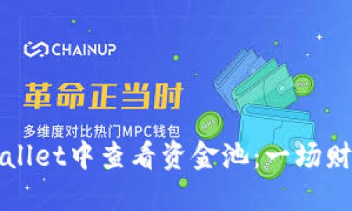 如何在TPWallet中查看资金池：一场财务探险之旅