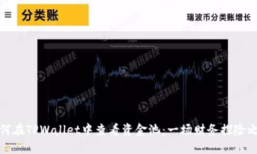 如何在TPWallet中查看资金池：一场财务探险之旅
