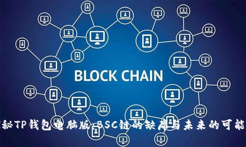 探秘TP钱包电脑版：BSC链的缺席与未来的可能性