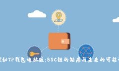 探秘TP钱包电脑版：BSC链的