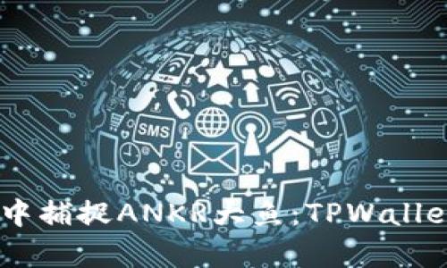像在数字海洋中捕捉ANKR大鱼：TPWallet存U挖掘之旅