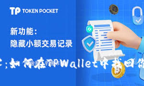 助记词和私钥的迷雾：如何在TPWallet中找回你那失落的数字宝藏？