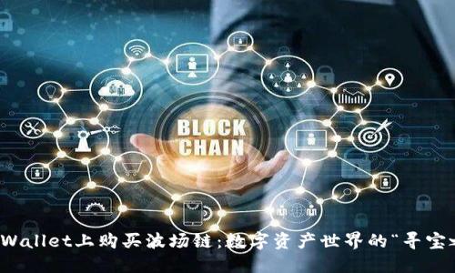 在TPWallet上购买波场链：数字资产世界的“寻宝之旅”