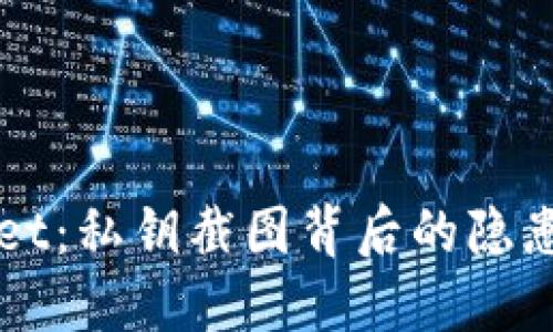 揭秘TPWallet:私钥截图背后的隐患与安全指南