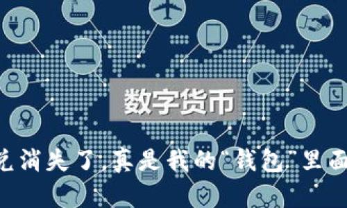 TPWallet的闪兑消失了，真是我的“钱包”里面掉进了无底洞！