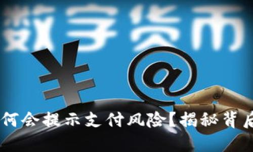 下载TPWallet时为何会提示支付风险？揭秘背后的原因与解决办法
