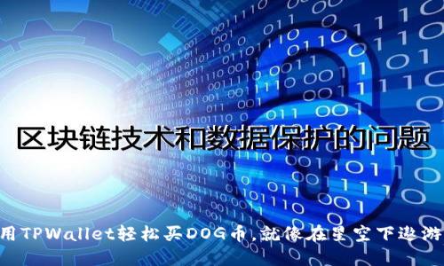 用TPWallet轻松买DOG币，就像在星空下遨游！