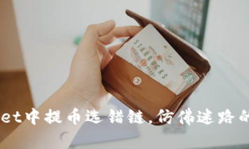 当你在TPWallet中提币选错链，仿佛迷路的小猫，怎么办？