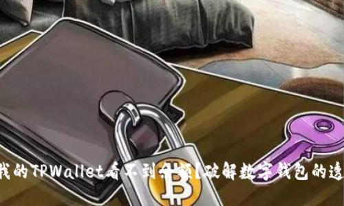 为什么我的TPWallet看不到余额？破解数字钱包的透明迷雾！