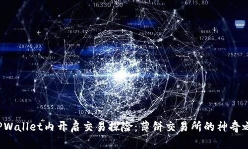 在TPWallet内开启交易探险：薄饼交易所的神奇之旅！