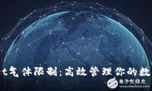 手动设置TPWallet气体限制：高效管理你的数字资产的“调音台”