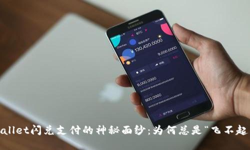 tpwallet闪兑支付的神秘面纱：为何总是“飞不起来”？