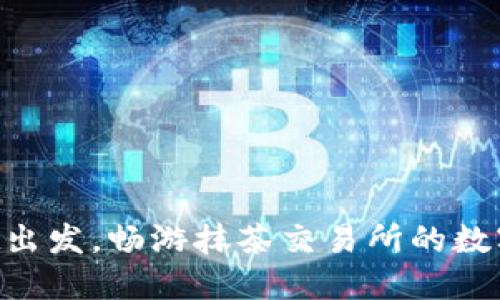 从TPWallet出发，畅游抹茶交易所的数字货币之旅！