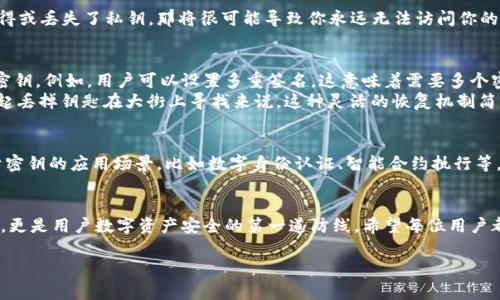 在区块链和加密货币的世界中，密钥的管理至关重要。而TPWallet（通常是指支持多种加密货币的数字钱包）的密钥用途更是多样，下面进行详细介绍。

什么是TPWallet的密钥？
TPWallet的密钥主要包括公钥和私钥。公钥是地址，可以理解为你的银行账号，任何人都可以看到并向这个地址发送加密货币；而私钥则是密码，只有你知道，它用来签署交易并证明你对账户的控制权。

密钥在交易中的作用
当你想要在TPWallet中发送或接收加密货币时，密钥的作用就显得尤为重要。公钥让别人可以向你发送资金，而私钥则能够授权这笔交易的发生。没有私钥，你就不能控制你的钱包，就算别人知道你的公钥，也无法对你的资产造成任何影响。

安全性与风险
谁还没点小烦恼呢？管理好密钥的安全性就是一部分！如果有人获取了你的私钥，那么他们就如同拥有了你的钱包钥匙，可以无限制地提取你所有的资产。因此，保护私钥的安全是每个数字货币用户的重要任务。
一些常见的保护方法包括：将私钥保存在离线设备上、使用硬件钱包、使用多重签名方案等。虽然这可能略显繁琐，但比起失去全部资产而言，增加一点安全措施总是值得的！

密钥的备份
一个好的用户习惯是定期备份你的密钥。就像定期检查你家中的安全措施一样，如果你不记得或丢失了私钥，那将很可能导致你永远无法访问你的资产。备份的方式可以是纸质记录，也可以是加密的信息存储在云端。

TPWallet的密钥管理功能
TPWallet除了基本的密钥管理功能外，还提供了一些额外的工具来帮助用户更好地管理其密钥。例如，用户可以设置多重签名，这意味着需要多个密钥的授权才能完成一笔交易，从而提高安全性。
此外，TPWallet还可能提供恢复功能，以便在用户遗失私钥的情况下，尽可能地挽回损失。比起丢掉钥匙在大街上寻找来说，这种灵活的恢复机制简直是救命稻草啊！

虚拟货币的未来：密钥的价值
随着区块链技术的不断发展和普及，密钥的价值也愈加重要。未来，我们可能会看到更多基于密钥的应用场景，比如数字身份认证、智能合约执行等。而这也意味着，理解和管理好你的密钥，将成为每个数字时代公民必备的技能。

结语
综上所述，TPWallet的密钥在区块链交易中具有举足轻重的作用，不仅仅是资金的管理工具，更是用户数字资产安全的第一道防线。希望每位用户都能重视密钥的管理，把好这扇通往财富的大门！

以上是关于TPWallet密钥的详细介绍。希望这可以帮助你更好地理解密钥的功能和重要性！