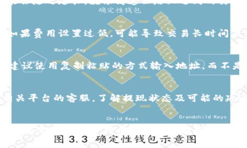 在当前的区块链及数字货币政策下，提现到 TP Wallet 的时间可以因多个因素而异，包括交易的网络拥堵程度、矿工费用的设置等。一般来说，提现到 TP Wallet 的处理时间通常在几分钟到几个小时之间，但在某些情况下可能会延长到24小时或更久。

提现流程概述
首先，用户需要在相关的交易所或平台上找到提现功能。通常这会在资产管理或钱包设置中找到。一旦选择提现，用户需要输入 TP Wallet 的地址，并确定提现金额。

网络拥堵与处理时间
在区块链网络中，交易的验证和处理依赖于矿工的工作。当网络处于高峰期，交易数量较多时，处理时间可能会随之延长。就像高速公路上遇到的交通堵塞一样，车流量大时，通行就会变得缓慢。

矿工费用的影响
为了加快交易速度，用户可以考虑调整矿工费用。设置较高的矿工费用通常能让交易更快得到确认，反之，如果费用设置过低，可能导致交易长时间未被处理。

TP Wallet的安全性
在提现的过程中，确保 TP Wallet 地址的安全性是至关重要的。如果地址输入错误，资金将会丢失。因此，建议使用复制粘贴的方式输入地址，而不是手动输入，避免因输入错误而造成的不可逆损失。

常见问题与解决方案
提现过程中可能会遇到一些常见问题，比如提现失败或者资金长时间未到。遇到这些情况，用户可以联系相关平台的客服，了解提现状态及可能的延迟原因。保持耐心，通常这些问题都是可以得到及时解决的。

总结
总的来说，提现到 TP Wallet 的时间通常比较短，但受多种因素的影响。理解这些因素，合理设置矿工费用，确保地址正确，将有助于缩短提现时间。谁还没点小烦恼呢？但只要稍加注意，就能顺利完成提现。