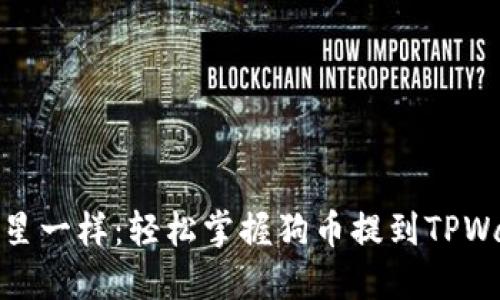 像捕捉流星一样：轻松掌握狗币提到TPWallet教程