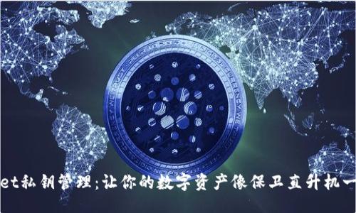 大 
TPWallet私钥管理：让你的数字资产像保卫直升机一样安全