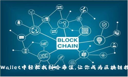 如何在TPWallet中轻松找到哈希值，让你成为区块链探索的高手