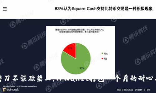 如同磨刀不误砍柴工，TPWallet打包一个月的耐心与智慧