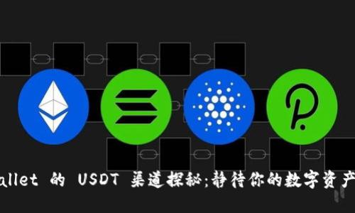 TPWallet 的 USDT 渠道探秘：静待你的数字资产之旅