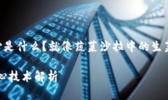 区块链系统的核心是什么
