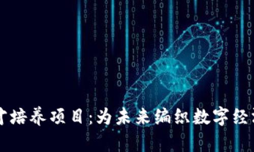 区块链人才培养项目：为未来编织数字经济的“网络”
