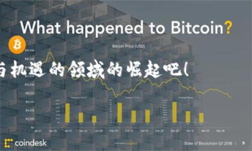 新空间区块链，是一个相对较新的概念，涉及到区块链技术在新的应用场景中的延伸和拓展。区块链技术自诞生以来，凭借其去中心化、透明不可篡改等特性，被广泛应用于金融、物流、医疗等多个领域。而新空间区块链则是指将这些技术应用扩展到新的领域和场景中，探索未被充分开发的潜力。

在这里，我将详细介绍新空间区块链的定义、应用场景、优势以及面临的挑战等方面，以便为您提供一个全面而深入的理解。

新空间区块链的定义
区块链是一种分布式账本技术，通过加密技术保证交易安全。新空间区块链则可以理解为区块链在新领域、新场景下的应用拓展，例如在智能合约、物联网、数字身份、供应链管理等领域的创新性应用。

新空间区块链的应用场景
1. 智能合约
智能合约是区块链技术的一项重要应用，它允许在没有中介的情况下，自动执行合约条款。新空间的智能合约可以被广泛应用于房地产交易、金融服务等领域，简化流程，提高效率。

2. 物联网
物联网设备的连接与管理是新空间区块链的重要应用场景。通过区块链，可以确保物联网设备之间的数据交换安全可信，提升数据隐私保护，防止黑客攻击。

3. 数字身份管理
在信息安全日益重要的今天，数字身份管理成为新空间区块链的又一个热点应用。区块链可以提供一种安全、去中心化的身份认证方式，用户可以掌控自己的个人信息，避免数据泄露。

4. 供应链管理
在全球化商业环境中，供应链管理的透明度和效率至关重要。利用区块链技术，可以实现供应链各环节的信息共享与追溯，提高产品质量及安全性。

新空间区块链的优势
1. 去中心化
去中心化是区块链的核心特性之一。新空间区块链通过去中心化的机制，减少了对中介的依赖，降低了成本，提高了交易的透明度。

2. 数据安全
新空间区块链通过加密技术确保数据安全。不可篡改的特性使得数据的真实性和完整性得以保证，极大提升了用户的信任感。

3. 提高效率
通过自动化的智能合约和透明的信息流动，新空间区块链能够显著提高各类交易与流程的效率，降低人为干预带来的错误和风险。

新空间区块链面临的挑战
尽管新空间区块链的潜力巨大，但其发展依然面临诸多挑战：
1. 技术门槛
区块链技术相对复杂，许多企业和用户对其理解不足，这导致其推广应用受到限制。

2. 法律法规问题
区块链技术的去中心化特性与现有的法律法规体系存在一定冲突，因此在实现全面应用前，需要相应的法律法规支持。

3. 可扩展性
当前许多区块链网络在处理大规模交易时面临瓶颈，需要不断改进以支持更高的交易量和速度。

总结
新空间区块链是区块链技术在新的应用领域的探索，通过去中心化、提高数据安全和效率等特性，推动各行业的创新与变革。

当然，谁还没点小烦恼呢？虽然新空间区块链的前景看好，但技术门槛、法律问题和可扩展性等挑战依然需要业界共同努力去解决。

在未来的日子里，区块链或许将不再是科技圈的“新宠”，而是每个人生活中不可或缺的“家常便饭”。让我们一起见证这个充满潜力与机遇的领域的崛起吧！

希望以上内容有助于您更好地理解新空间区块链。如果您对某个特定方面有深入的兴趣或问题，欢迎随时提问！