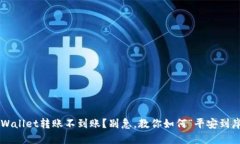TPWallet转账不到账？别急，