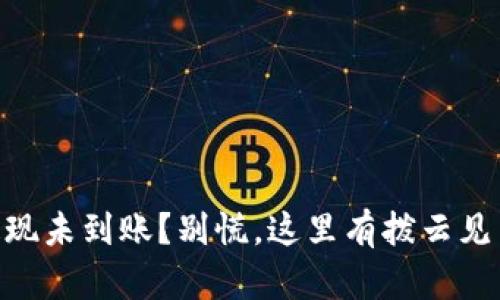 TP Wallet 提现未到账？别慌，这里有拨云见日的解决方法！
