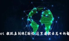 TP Wallet 提现未到账？别慌