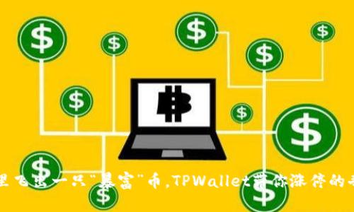 当钱包里飞出一只“暴富”币，TPWallet带你涨停的奇幻旅程