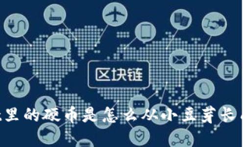 TPWallet里的硬币是怎么从小豆芽长成大树的？