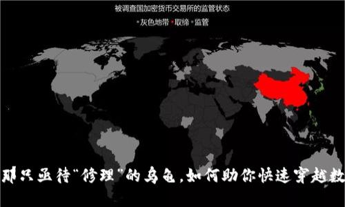 : TPWallet：那只亟待“修理”的乌龟，如何助你快速穿越数字资产海洋？