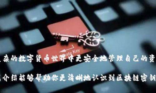 区块链密钥在区块链技术中扮演着极其重要的角色。可以把它们看作是数字世界的“通行证”，每一个密钥都连接着特定的身份和权益。下面，我将详细介绍区块链密钥的作用以及相关概念。

什么是区块链密钥？
区块链密钥主要分为两种类型：公钥和私钥。公钥相当于你在社交媒体上公开的用户名，而私钥就像是你用来登录的密码。这个比喻虽然简单，但却非常形象。公钥可以分享给任何人，而私钥则必须严格保管。

公钥的功能与作用
公钥在区块链交易中起着至关重要的作用。当你想要接收加密货币或者其他基于区块链的资产时，你可以将你的公钥分享给他人。通过这个公钥，别人就可以将资产发送给你，而你也能通过这个公钥证明自己是该资产的拥有者。

所以，公钥的作用可以总结为：它是接收数字资产的“地址”。想象一下，如果公钥是你的邮寄地址，那么任何人只需拿着这个地址就能把包裹寄给你。当然，这样的包裹是经过安全加密的，不用担心被别人窃取。

私钥的重要性
私钥则是整个区块链交易安全的关键。拥有私钥就等于拥有对关联资产的控制权。这就好比你有一个保险箱的钥匙，别人不能打开，只有你才能通过这个钥匙来获取内部的财产。

但如果不小心把这个钥匙丢了，哎，那可就麻烦了！有句话说得好，“谁还没点小烦恼呢？”这下可就真后悔当初没有好好保管私钥了。不仅如此，如果别人在不知情的情况下获得了你的私钥，他们也能够轻易地转移你的资产。所以，私钥的保管显得尤为重要。

密钥的生成与管理
在你首次创建区块链账户时，系统会生成一对公钥和私钥。这个过程类似于银行为你提供一张银行卡及其密码。在使用这些密钥时，你需要妥善保存私钥，比如写在纸上，放在一个你认为安全的地方，或者使用专门的加密软件保存。

近年来，随着技术的发展，越来越多的密码管理工具被推出，这些工具利用更加先进的算法来保护用户的私钥。就好像给你的房子装上了高级的防盗门，保护你不被小偷偷走宝藏。

区块链密钥的应用场景
区块链密钥的应用场景非常广泛，尤其是在加密货币交易中。以下是几个典型的应用场景：

ul
listrong加密货币交易：/strong在进行比特币或其他加密货币交易时，发送方需要使用自己的私钥来签署交易，而接收方可以通过公钥来确认交易的真实性。/li
listrong智能合约：/strong在以太坊等平台上，智能合约的执行也需要密钥。这些合约在执行时会验证请求者的公钥，确保只有有权的人才能触发合约。/li
listrong身份验证：/strong区块链技术还可以用于身份验证，通过提供公钥，用户可以证明自己的身份，防止身份被盗用。/li
/ul

如何确保密钥的安全
虽然古人曾经说过“无密则无事”，但在区块链的世界里，保护好你的密钥更是至关重要。以下是一些确保密钥安全的建议：

ul
listrong使用硬件钱包：/strong这是一种离线存储私钥的方法，极大降低了密钥被网络攻击的风险。/li
listrong定期备份：/strong将私钥的备份存放在多个安全的地方，避免因为意外情况而导致的资产损失。/li
listrong不要分享私钥：/strong尽量避免在任何情况下分享你的私钥，保持警惕，不要随便相信他人。/li
/ul

总结
区块链密钥作为连接用户与区块链网络的桥梁，承载着交易、身份验证等诸多功能。理解区块链密钥的作用及其重要性，能够帮助用户在复杂的数字货币世界中更安全地管理自己的资产。当你完成一次顺利的交易时，不妨想象一下自己就像在打开一扇通往财富的大门。只要记住，保护好你的钥匙，这扇门将始终为你敞开！

总之，虽然区块链密钥的概念略显复杂，但通过合理管理和安全使用，我们能够在这个数字化的时代中更安心地掌握自己的财富。希望这篇介绍能够帮助你更清晰地认识到区块链密钥的作用和重要性，让你的区块链之旅更加顺畅。毕竟，细节决定成败，安全管理从现在做起！